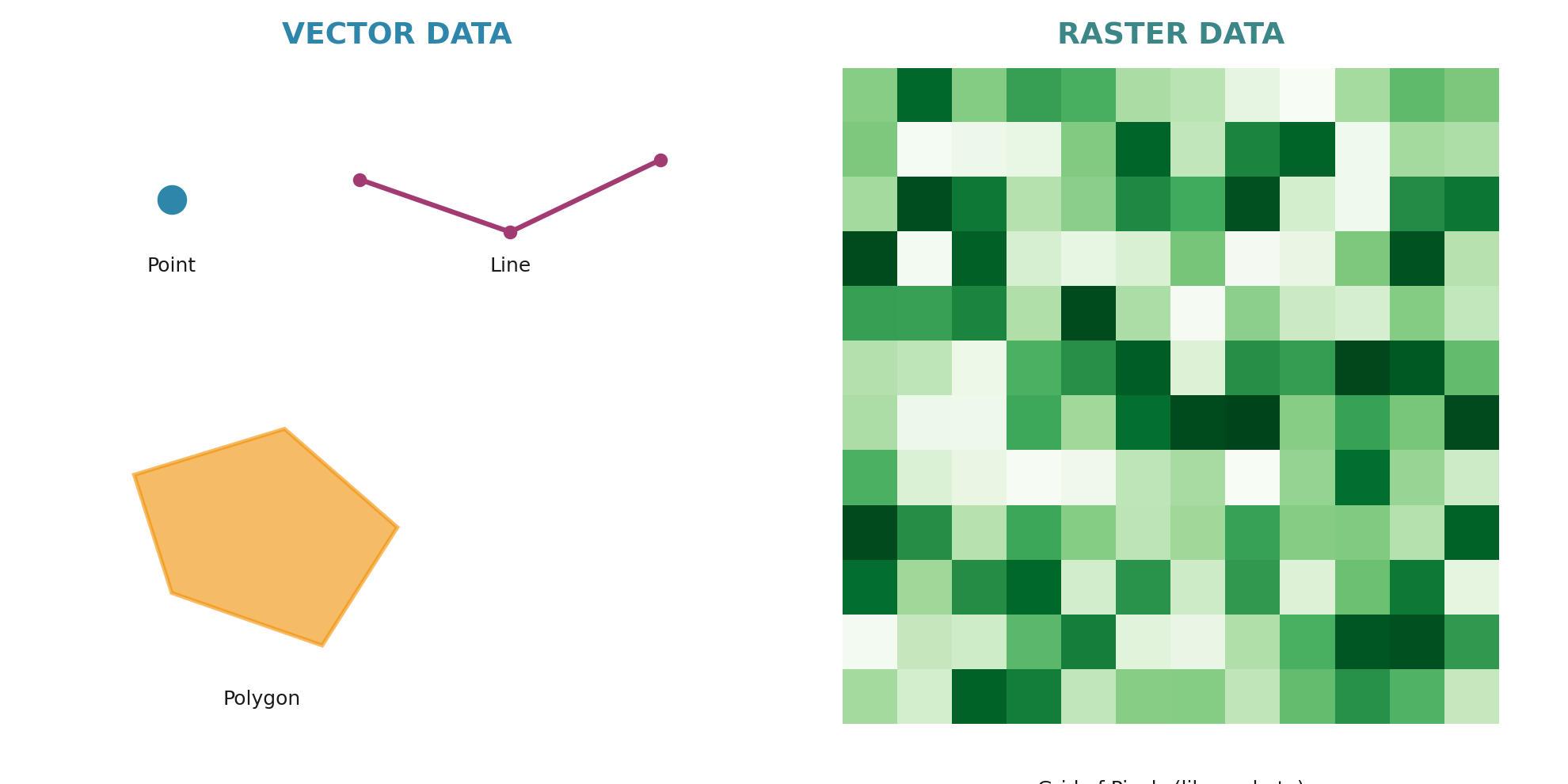 The Two Types of Spatial Data